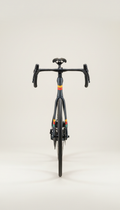 Carbon Fiber Endurance Road Bike